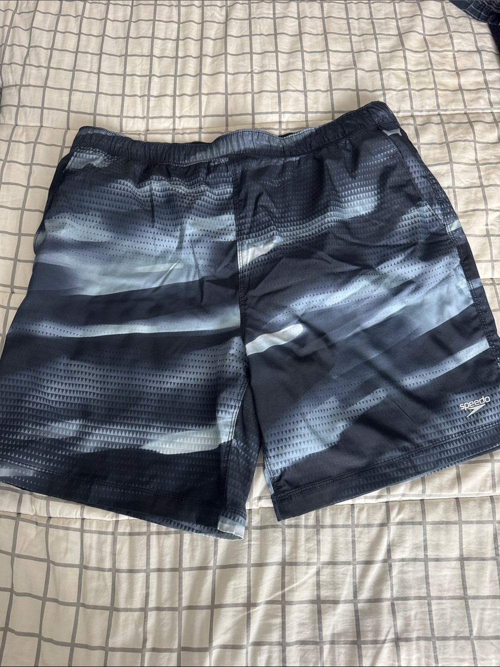Speedo Men's Black & Gray Gradient Swim Trunks